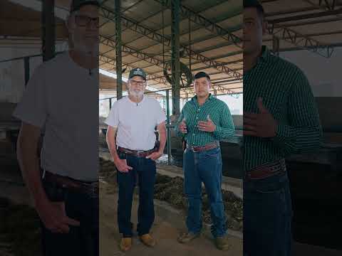 Piracanjuba ProCampo Consultoria - Fazenda Boa Vista do Corumbá (Pires do Rio - GO) - Parte 1
