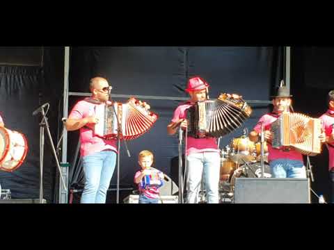 How to play Wonderful Amazing Chromatic Accordion Music in Group.
