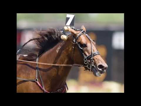 CHRHF 2011 Inductee - Burning Point