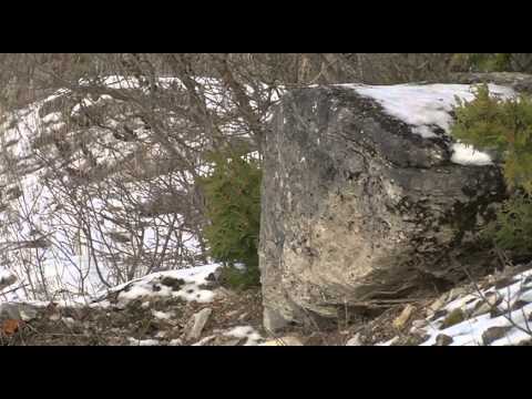 Canadian company looking to mine thousands of acres for limestone