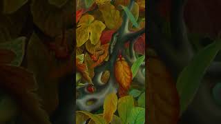 L'AUTOMNE C'EST FANTASTIQUE