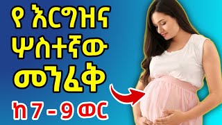 የእርግዝና ሶስተኛው መንፈቅ | ምን አዲስ ነገሮች ይፈጠራሉ ፣ ማድረግ ያለባችሁ ጥንቃቄዎች እና ክትትሎች
