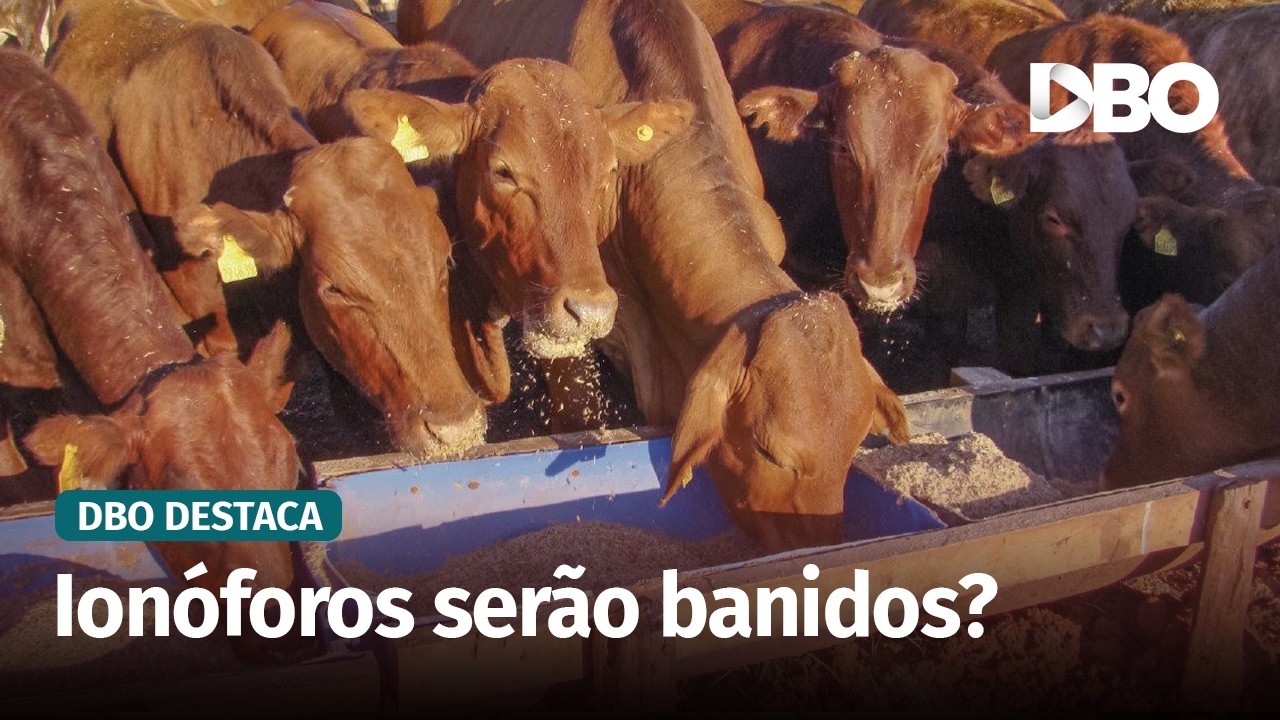 Sindan é contra proposta da Abiec de banir ionóforos