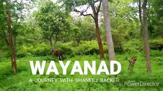 preview picture of video 'WAYANAD'