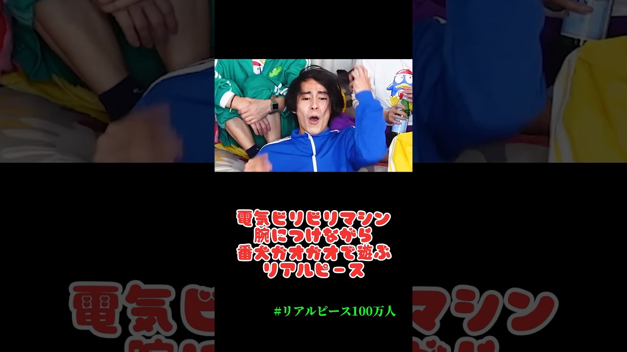 【リアルピース】番犬ガオガオで遊ぶアイドル　#リアルピース100万人　#チャンネル登録お願いします #magnetic
