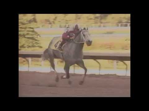 GOLD GIFT - Record de pista en 1,200 metros