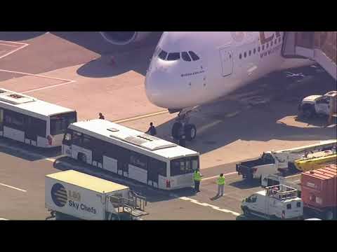 Plane lands at JFK with dozens of sick passengers