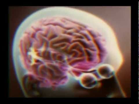 Pictureplane - Post Physical