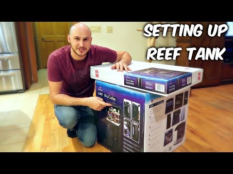 Setting Up Reef Tank