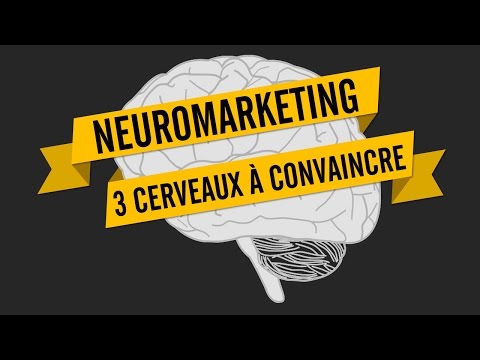 NEUROMARKETING 3 CERVEAUX À CONVAINCRE