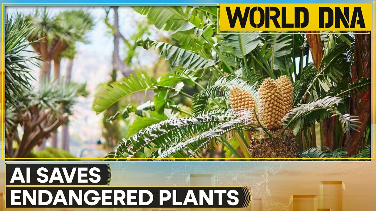 AI's New Mission: Saving Endangered Plants From Extinction | World DNA