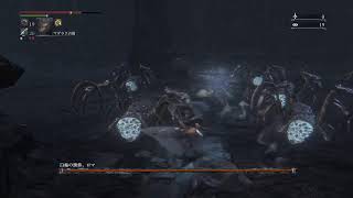聖杯巡り kyojiのﾜﾁｬﾜﾁｬ【Bloodborne】2026.09.16