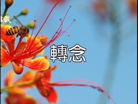心念的故事