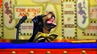 TRIUMPH insult comic dog - John Tesh