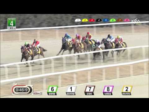 Thunder Ray - Darryll Holland