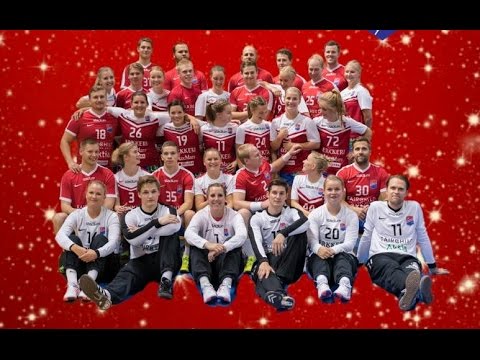 MSM Dicken - BK-46 (10.12.2016 Pirkkola/Britas)