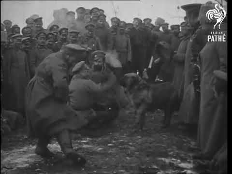 Cossacks Camp   The Dance 1915