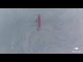 DJI Mavic Air Great White Shark