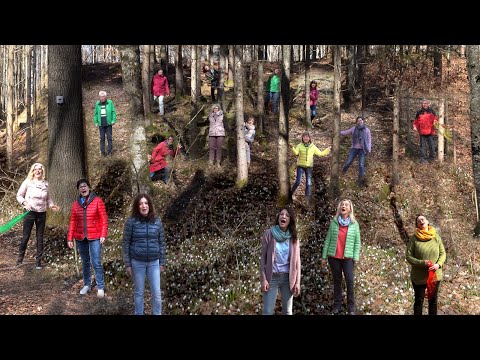 Per Klick zum Gig Nr. 7 - Er ist's (Frühling lässt sein blaues Band)