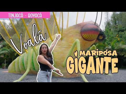 El lugar más FOTOGRÁFICO de Colombia Tinjacá y su Mariposa Gigante