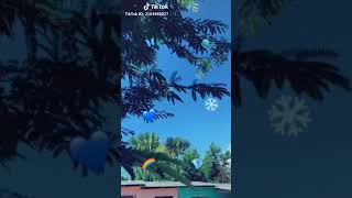 Download lagu Sebiru hatiku mp3