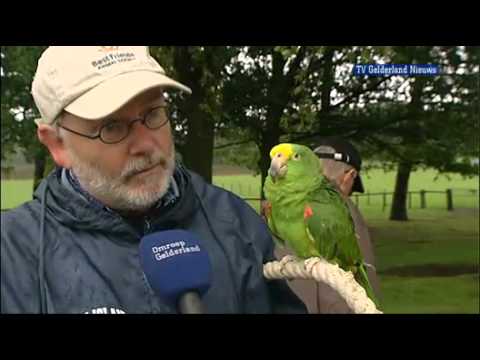 GLD Nieuws 19 juni 2011 - Nieuws