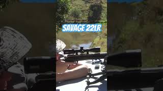 Download lagu Savage B22 22lr #gun #shooting #rifle #ozziereviews #22longrifle #22lr #firearms #accuracy #savage mp3 Download lagu Savage B22 22lr #gun #shooting #rifle #ozziereviews #22longrifle #22lr #firearms #accuracy #savage mp3