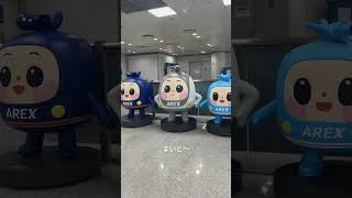 【後編 その1】ボカロP 韓国でDJ→NIGHTHIKEの3日間 vlog #vlog