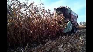 preview picture of video 'Laverda L626 corn maiz 2012 harvest  Polska Kukurydza'