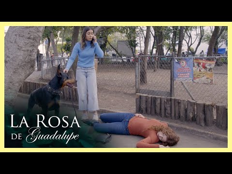 Paula tiene un incidente con 'Simón' y creen él tuvo la culpa | La rosa de Guadalupe 3/4 | Todos...