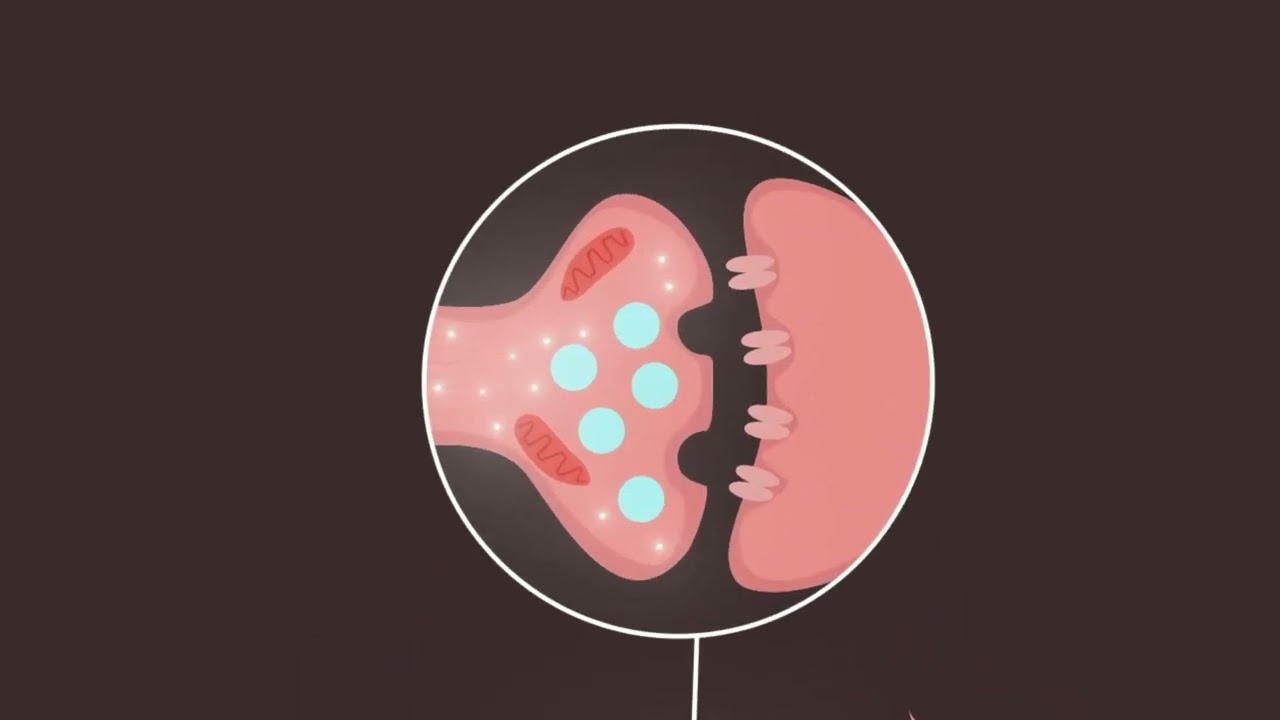 Editor de Vídeo Motion Design — Tore