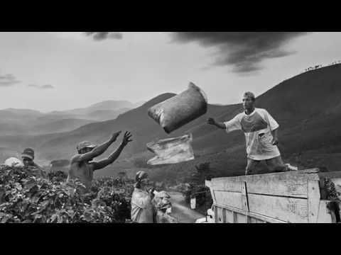 Scent of a Dream. Sebastião Salgado and illycaffè: people and places