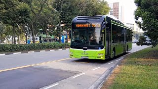 (Repainted) SMB3085X(MDDEP) On Service 969A At Yishun Avenue 2