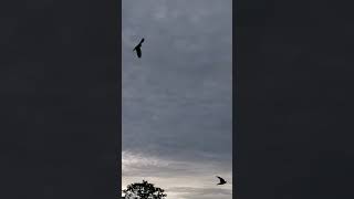 No Tengas Miedo "Tercer Cielo"