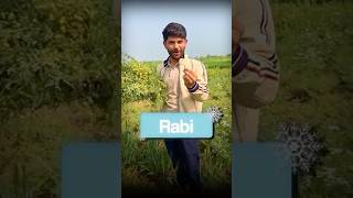 Rabi & Kharif Crops Explained with Practical Examples! #sst #digrajsir