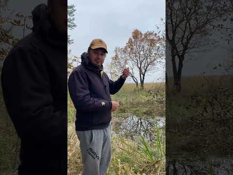 Мастер спорта по ловле уклейки #уклейка #верховка #shorts