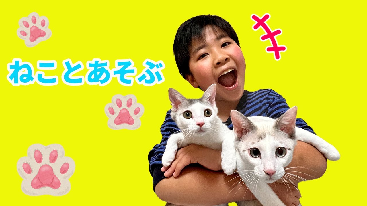 かいちゃんが子猫のお世話をしたよ　猫じゃらしで遊んでちゅーるをあげよう❤