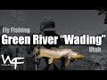 W4F - Fly Fishing Utah - Green River "Wading"