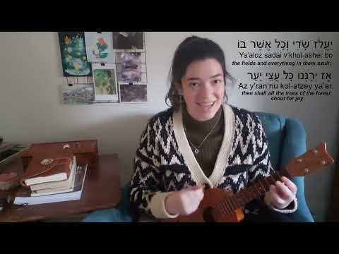 Ya'aloz Sadai (Nava Tehila cover)
