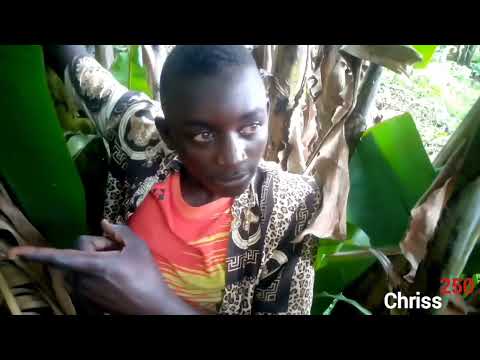 Killa comedy: kwiyenza 2024