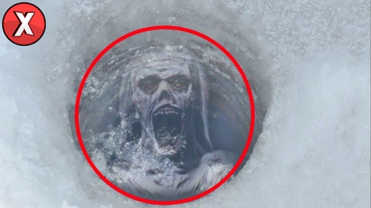 Cientistas da Antártida Revelam Descobertas Mais Estranhas