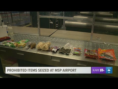 Airport officials seize hundreds of pounds of bushmeat, other prohibited items