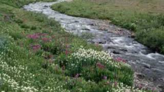 Fra fortvilelse til Håp!