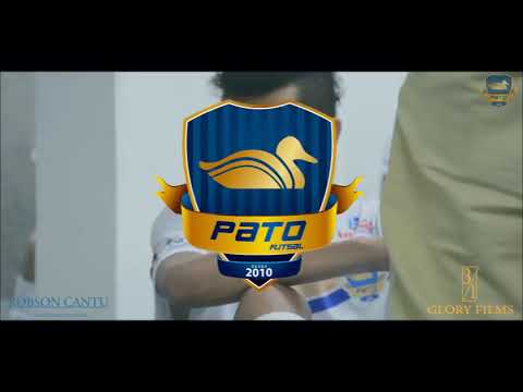 Pato Branco campeão e mais que um título e uma estória escrita .