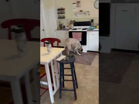 46 Lafountain Street - Video 2 of 2