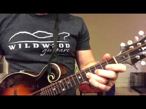 Mandolin Lick of the Day #79