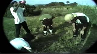 BILE presents TAIL WHIP