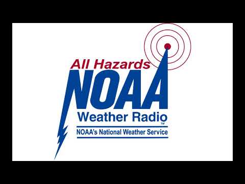 Tornado Warning (Bibb, Tuscaloosa Counties, AL) (3/25/21) [EAS #63]