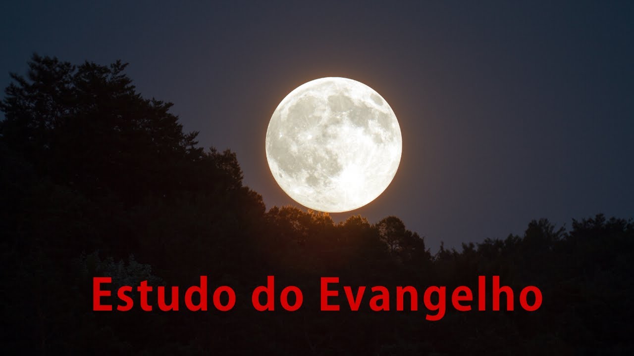 ESTUDO DO EVANGELHO NA ENERGIA DA POMBAGIRA ROSA NEGRA
