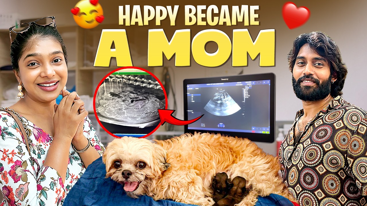 Our Family Just Got Bigger 🥹🩷 | Happy’s Delivery Vlog 🐶 | Most Emotional Day 😭 | VJ Paaru| Kamurudin
